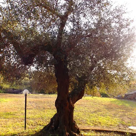 Girasole Villa *